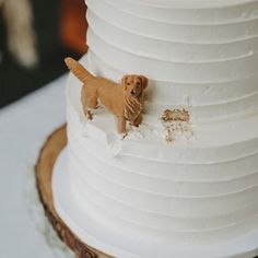 a dog figurine sitting on top of a white cake