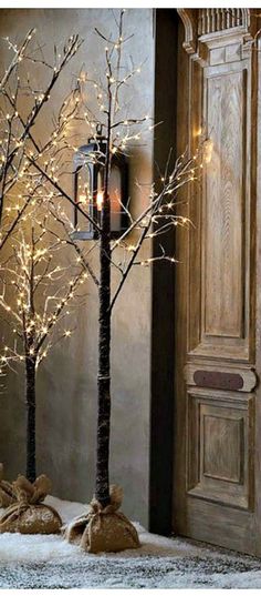 two small trees with lights on them in front of a door