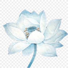 a watercolor painting of a blue lotus flower