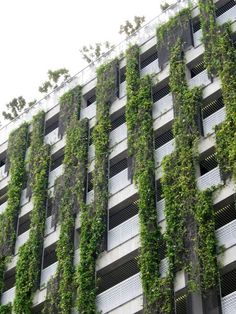 an apartment building covered in green plants