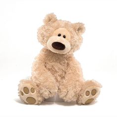 a brown teddy bear sitting up against a white background