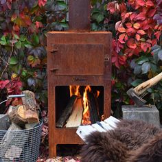 a wood burning stove sitting in front of a bush with red and green leaves on it