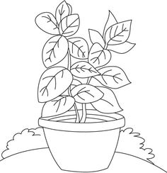 a potted plant with leaves coloring page