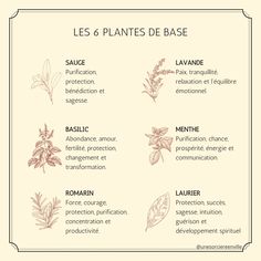 the four types of plants that can be used to describe what they are in french