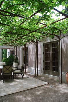 an outdoor dining area with tables and chairs under a pergolated roof covered in green leaves