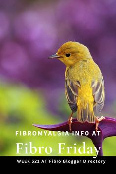 WELCOME to Fibro Friday a link-up all about Fibromyalgia. It starts every Friday and runs almost all of the week. So you can join in anytime and add your fibromyalgia link. Non Verbal, More Sleep