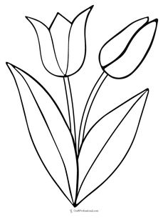 a line drawing of three tulips with the number 20 on each one side