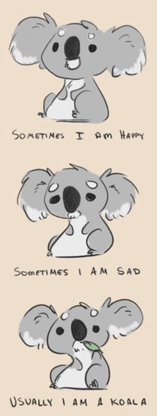 Koala Meme, Funny Koala, The Wombats, Koala Bears, Baby Koala, Koala Bear, الرسومات اللطيفة, Cuteness Overload, Too Cute