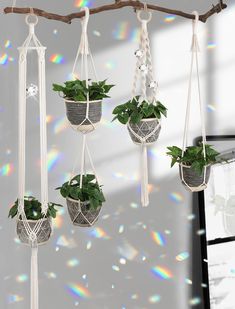 three hanging planters with plants in them