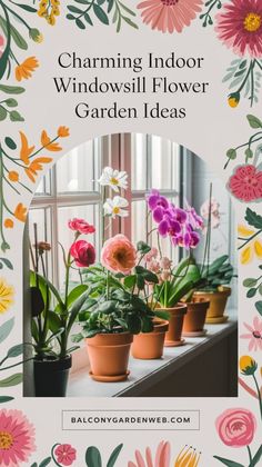 colorful flowers in pots with the words charming indoor windowsill flower garden ideas