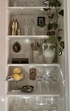 a shelf filled with lots of glasses and vases next to a potted plant