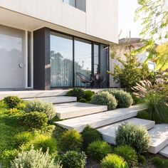 the steps are lined with green plants and bushes in front of a modern house on a sunny day