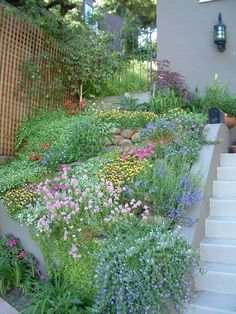 an outdoor garden with flowers and plants growing on the side of it's wall