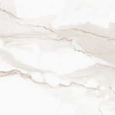 a white marble textured background with black accents