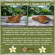 an advertisement for the hawaiian sea turtle life exhibit