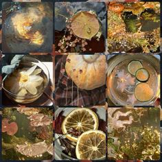 many different pictures of oranges, lemons and other things in the process of making them