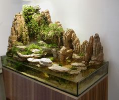 a fish tank filled with rocks and plants on top of a wooden table next to a white wall