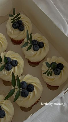 cupcakes with white frosting and blueberries in a box