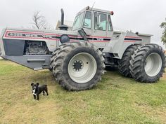 a dog standing next to a large tractor