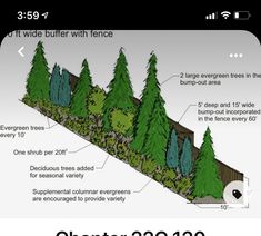 an image of a forest with trees and text describing the different types of trees that are in