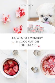 frozen strawberries and coconut oil dog treats are the perfect treat for dogs to eat