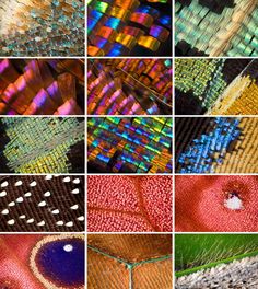 many different patterns and colors are shown in this collage, each with their own image