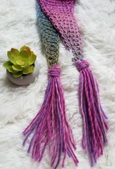 a knitted scarf with tassels and a potted succulent