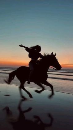 a person riding on the back of a horse next to the ocean at sunset or dawn