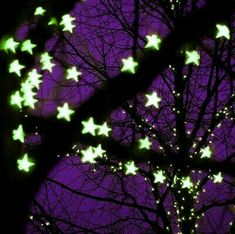 the stars are glowing in the dark night sky as seen from behind a leafless tree