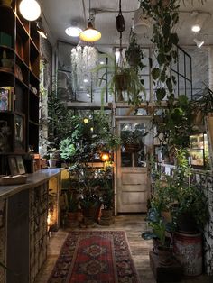 a room filled with lots of potted plants