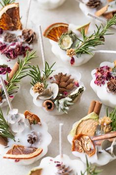 an assortment of appetizers with pine cones, cinnamons and nuts on them