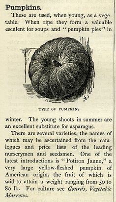 an old book with some type of pumpkin on it's page, in black and white