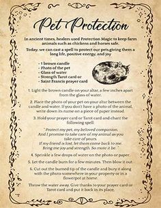 ▶️ Spell to Protect your Pets or Find a Lost Pet – Spells8 Venus Roman Goddess, Venus Altar, Wiccan Chants, Venus Goddess, Witch Tips, Nature Witch, Spell Books