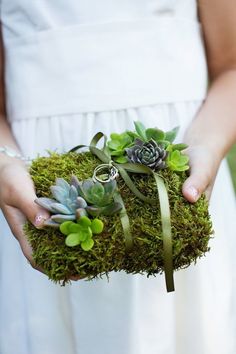 a person holding a small box filled with succulents and moss in their hands