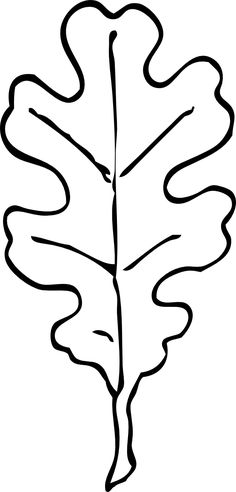 a black and white drawing of a leaf