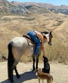 a person on a horse with a dog and a horse standing next to each other