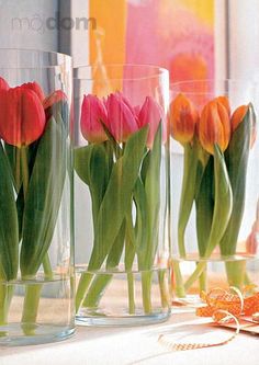 black and white photograph of tulips in vases