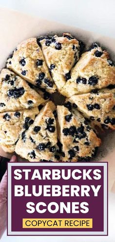 blueberry scones with text overlay reading starbucks's blueberry scones copycat recipe