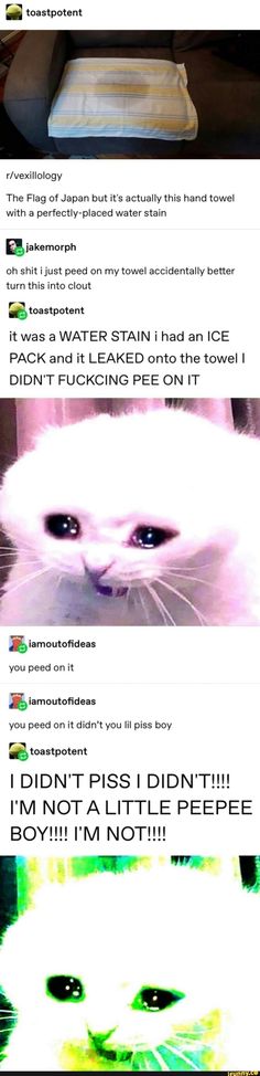 an image of a cat that is looking at the camera with captioning below it