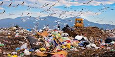 there are many birds flying over the trash pile and dump truck on the hill side