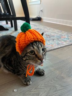 a cat wearing a knitted pumpkin hat on top of it's head sitting on the floor