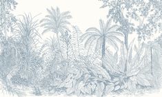 a drawing of tropical plants and trees