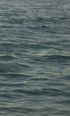 a person riding a surfboard on top of a body of water in the ocean