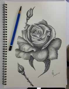 a pencil drawing of a rose on paper