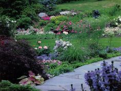 a garden filled with lots of flowers next to a lush green hillside covered in trees