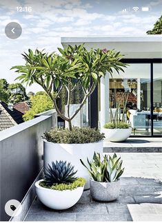 two large white planters sitting on top of a patio