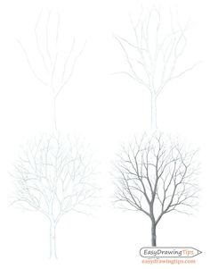 three trees with no leaves are shown in this drawing