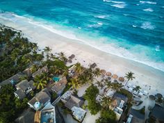 an aerial view of the beach and ocean from above, with palm trees in the foreground