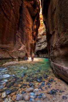 people are walking through the narrow canyons in wading and swimming on the water