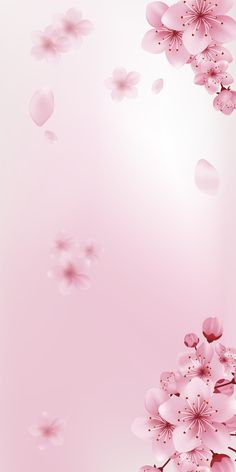 pink flowers are floating in the air on a light pink background with space for text